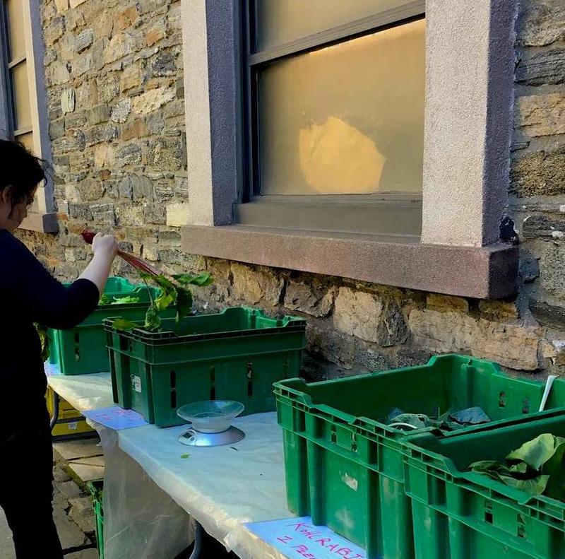 Volunteer work shift